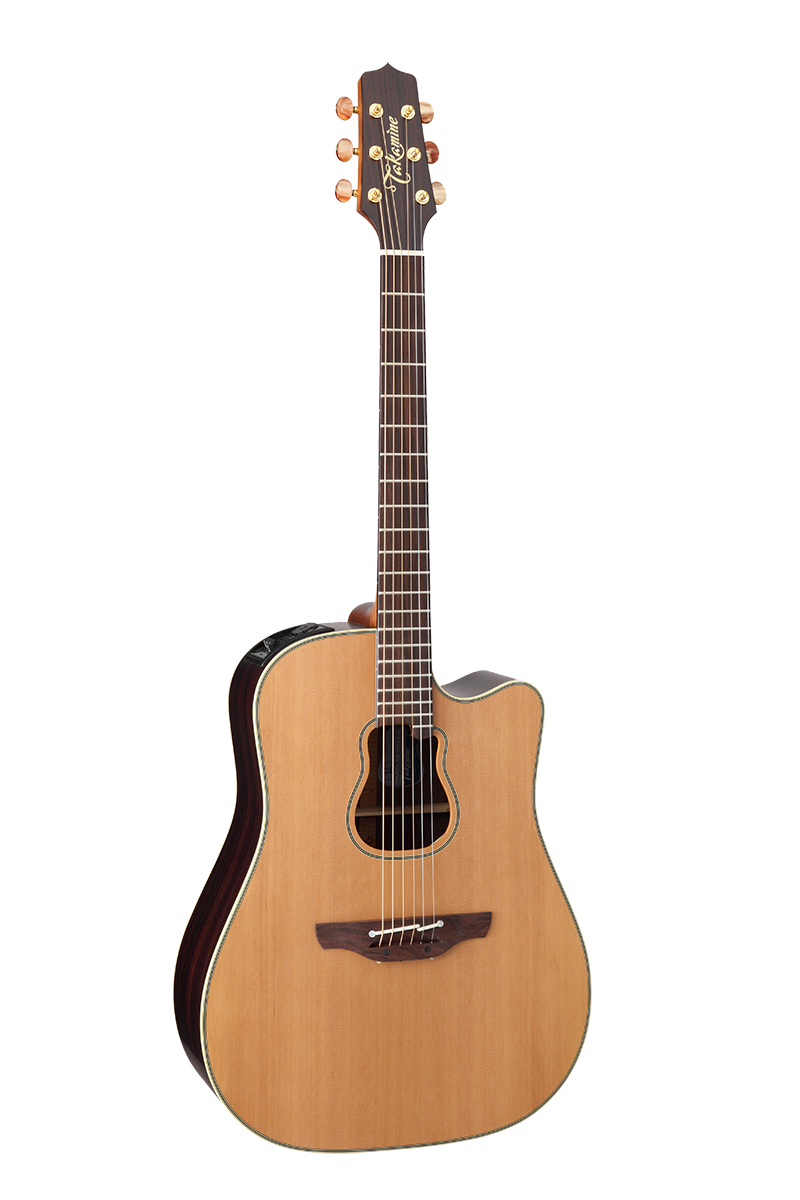 Takamine Serial Numbers: What They Can Tell You and How to ...