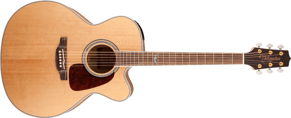 Takamine Guitars :: G-Series Guitars