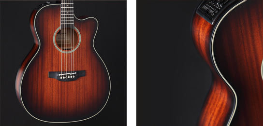 Takamine Guitars