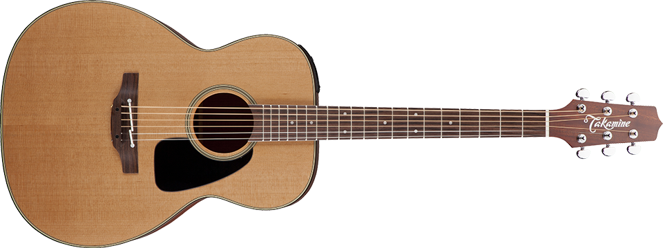 Takamine Pro-Series Guitars