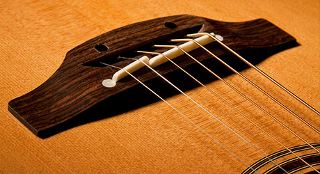 saddle split takamine bridge features